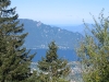 IMG_1681.jpg