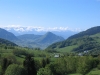 IMG_1684.jpg