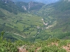 IMG_1689.jpg