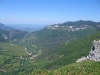 IMG_1690.jpg