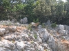 IMG_1700.jpg