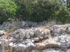 IMG_1701.jpg