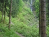 100-0029_IMG.JPG