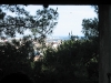 100-0064_IMG.JPG