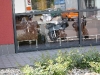 7-juni-duitsland-eo-09-custom