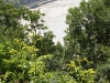 9-juni-duitsland-eo-14-custom