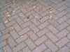 nijverdal-oktober-2007-031.jpg